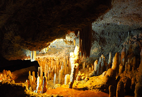 Limestone rocks and formations in Harrison's cave