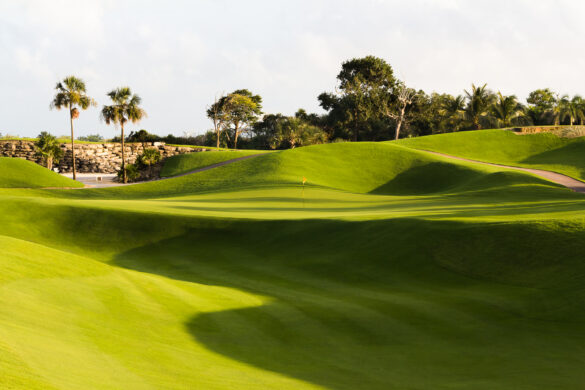 IBERO_GOLF_RMY-2