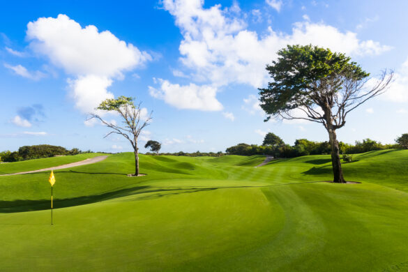 IBERO_GOLF_RMY-20