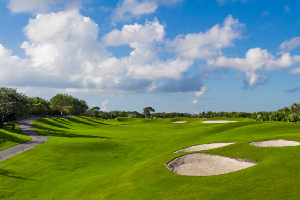 IBERO_GOLF_RMY-21
