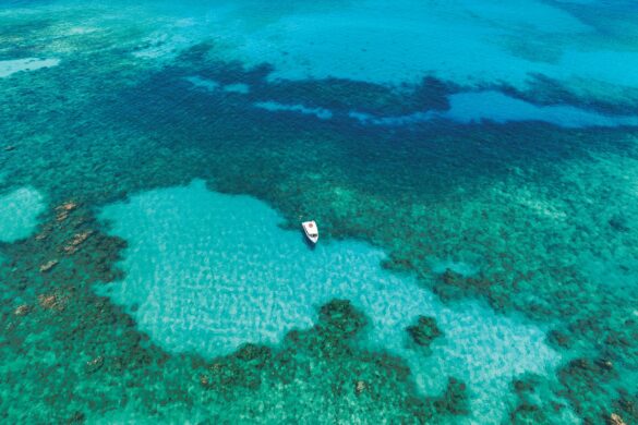 Travel Advisor Asset-SDR-Drone-Watersports-Dive-Boat