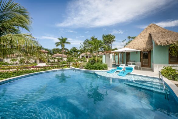 Travel Advisor Asset-SDR-Room-RSUP-Swim-up-Pool-1